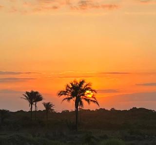 Apartamento Tulum - 7