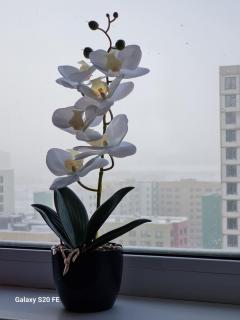 Уютная квартира с удобным расположением Apartments ,,Shanyrak" - 6