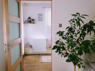 Cosy Studio-House with Terrace - Târgu Mureș - 3