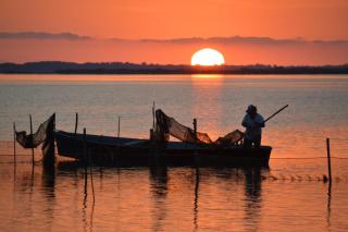 Le Stanze di Ricci - Affittacamere Low cost - Lesina - 5