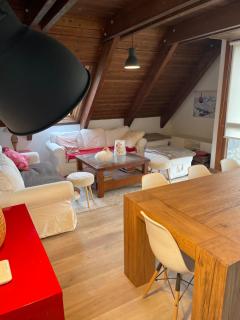 El Balcón de Panticosa - 8