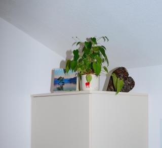 Haus Jakob - Filzmoos - 1
