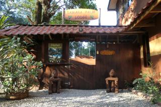 Samara Palm Lodge - Sámara - 6