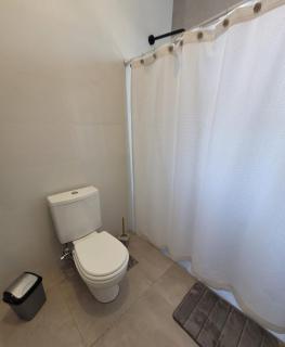 Tupungato entre viñas, valle de Uco - 4