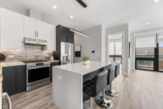 Contemporary Luxury: New 3BR 2BA Stylish Haven - Chicago - 8
