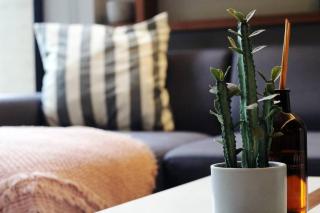 Luxury Studio in Roma Norte - Città del Messico - 5