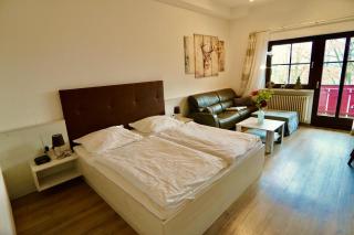Hallelujah - Wunderschönes und gepflegtes Apartment mit Bademantelgang zur Therme - Bad Griesbach im Rottal - 7