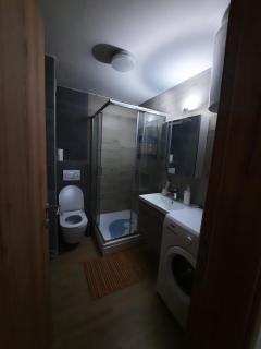 APARTMAN GREEN HILLS 20 - Divčibare - 4