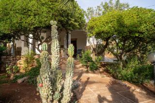Tenuta Diavoli 1 a due passi da Torre San Giovanni - 5