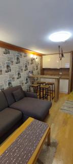 Apartment 122 - Aparthotel Vučko Jahorina - private host - 3