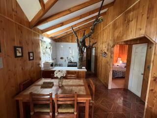 Cabañas Pucon San Sebastian - 1