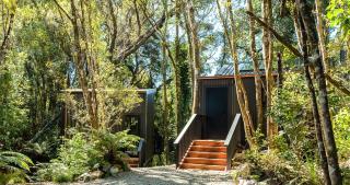 Te Aka Treehouse - - 9