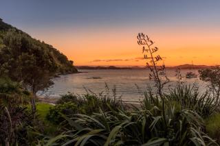 Little Donkey Bay - Russell - 3