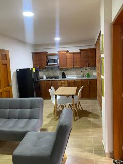 Apartahotel Villa Carolina 3 - Jericó - 2