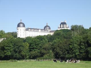 Maison d'hôtes de charme du XIXe, proche Château de Valençay et Zoo de Beauval - FR-1-591-392 - Valençay - 5