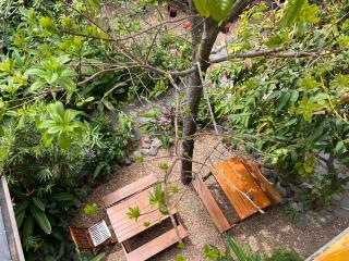 Trại Hoa Vàng Homestay at Tuy Hòa Phú Yên - Ðông Tác (1) - 3