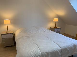 Maison neuve avec jardin et WIFI à Perros-Guirec - FR-1-368-404 - 2