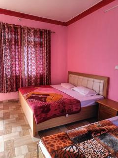 Hotel Ajay Palace - 5