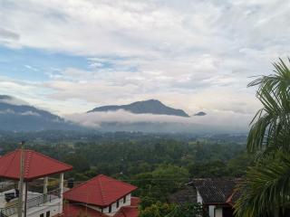 Kandy ambuluwawa mount villa - 2
