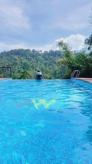 Wayanad Whistling Woods - 6