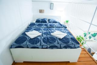 Lovely Apartment In Erzsebetvaros A57 - Budapest - 7
