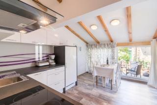Lovely apartment DESIREE 250m from the beach in Rovinj - 2