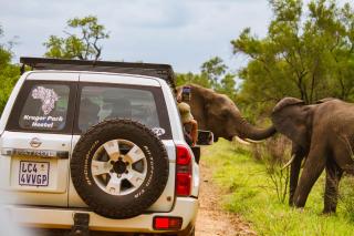 Kruger Park Hostel - Marloth Park - 2