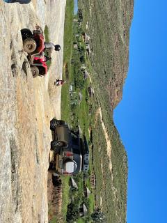 Lucette Boutique Guesthouse - 1