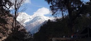 Khushi Home Stay - Bāgeshwar - 3