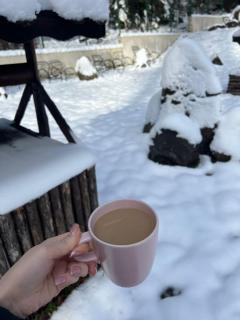 Gaia Villa Predeal - 2