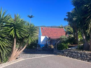 Lucky Lemons - Boutique Houses Madeira - 2 - Estreito da Calheta - 6