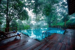 Vythiri Mist Resort - Vythiri - 2