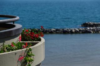 Residence Belvedere Vista - SeaFront - Rímini - 6