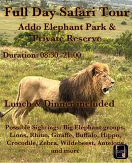 Homestead Bed and Breakfast - Addo - 3