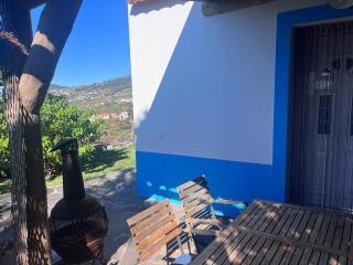Lucky Lemons - Boutique Houses Madeira - 2 - Estreito da Calheta - 2