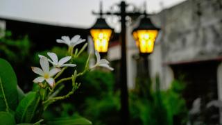 Stay Banaras - A Boutique Hotel - Varanasi - 7
