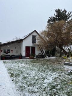 Maison « jardin la cigogne » - Sainte-Croix-en-Plaine - 2