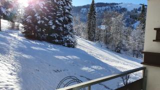 Berghof Appartement 11 - Ellmau - 0