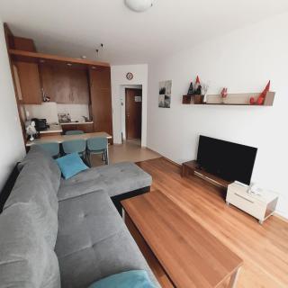 Апартамент В204 Belvedere Holiday Club - Bansko - 9