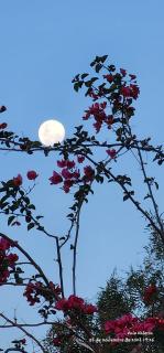 La Quimera a pasos de la playa - 1