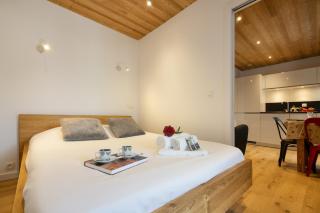 Chamonix Sud - Chailloud 202 - Happy Rentals - Chamonix - 8
