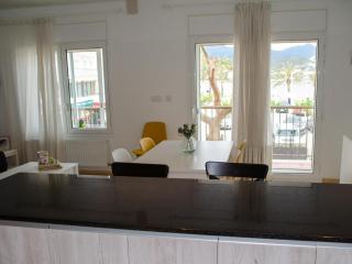 NARCIS MONTURIOL - Apartamento con terraza y vistas a la playa del port de Llançà. - ES-228-79 - Llançà - 4