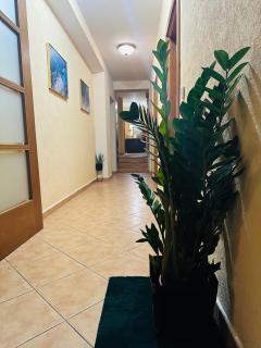 Lucic rooms - Budva - 5