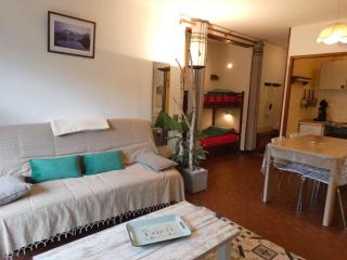 Studio Confort 4 Personnes avec Balcon, Parking et Casier à Ski - Saint-Lary-Soulan - FR-1-457-305 - Saint-Lary-Soulan - 0