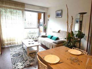 Studio Confort 4 Personnes avec Balcon, Parking et Casier à Ski - Saint-Lary-Soulan - FR-1-457-305 - Saint-Lary-Soulan - 9
