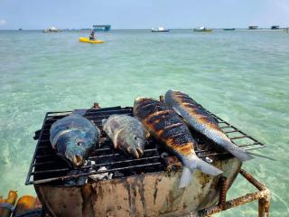 RICHVILLE LITTLE BORACAY GUEST HOUSE - 4