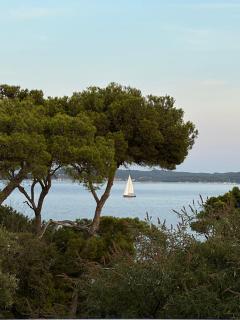 L'Instant Plage - Vue Mer - Bord de Plage - La Capte - Côte d'Azur - Hyères - 1