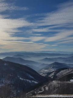 Apt. Kop for you - 9