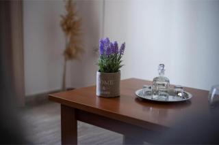 Virginia’s house - 2