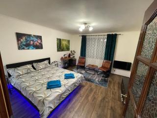 Alio Room Campulung Moldovenesc - Câmpulung Moldovenesc - 0